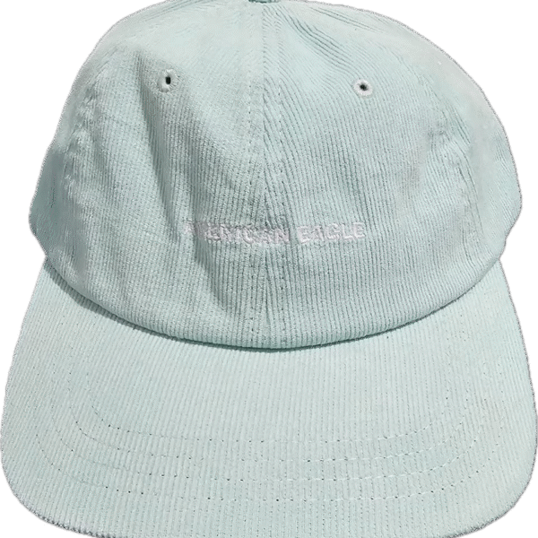 AMERICAN EAGLE - GORRA AZUL CLARO