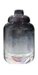 COACH - NEW YORK FOR MEN MINI