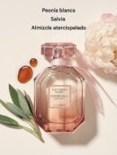 VICTORIA´S SECRET - BOMBSHELL SEDUCTION