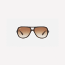 RAY BAN RB4162 LIGHT HAVANA/GRADIENT BROWN