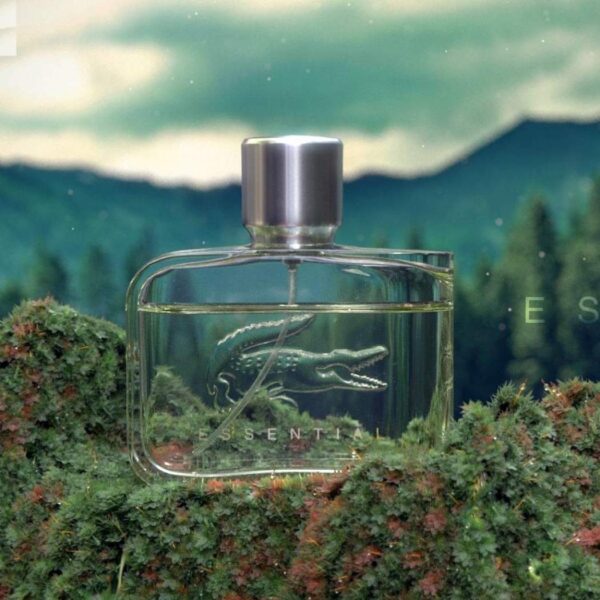 LACOSTE ESSENTIAL CHICO - Imagen 2