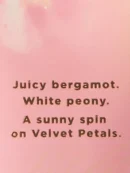 VICTORIA´S SECRET LOCIÓN CORPORAL - VELVET PETALS (SOL)
